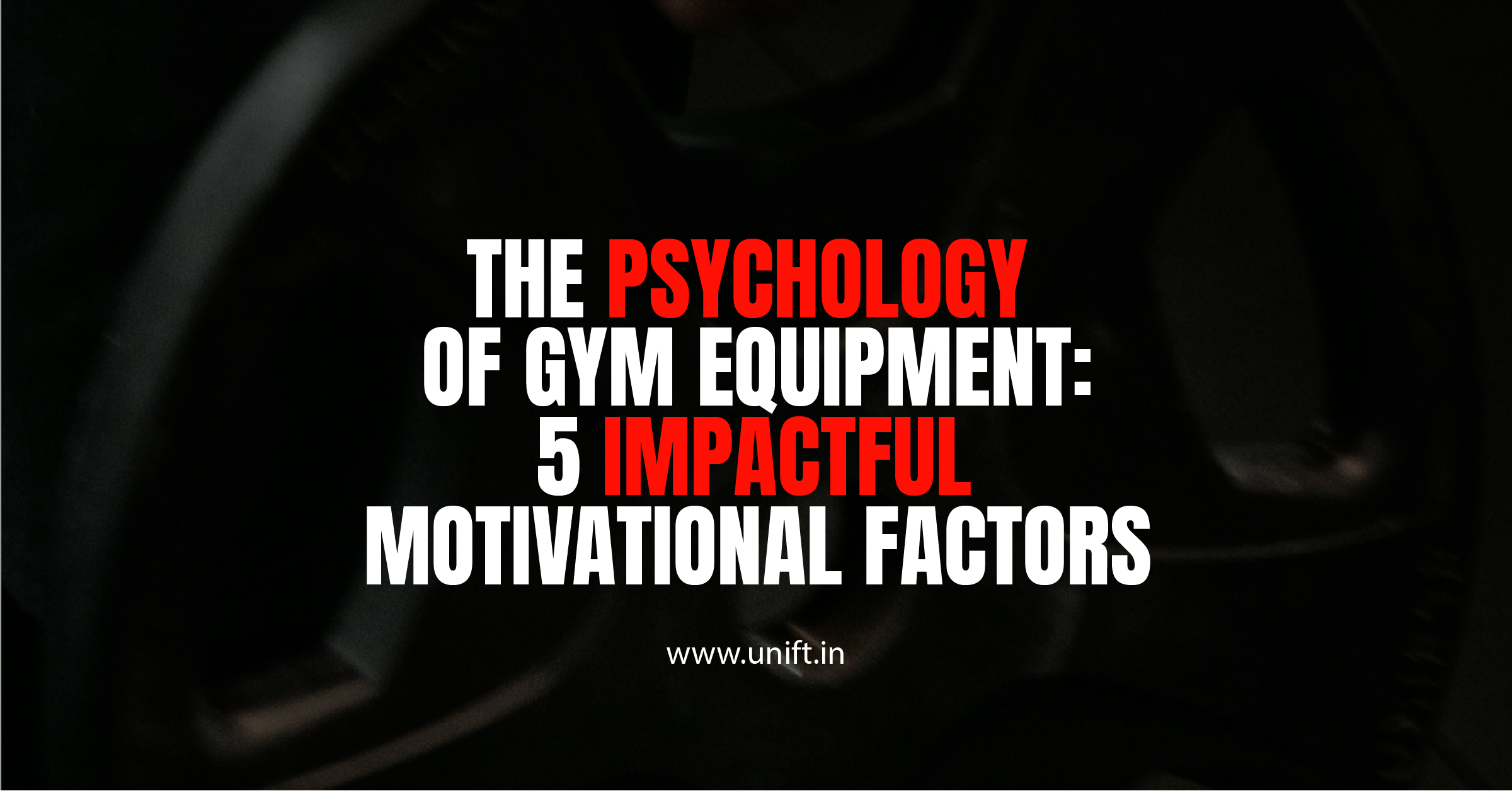 The Psychology of Gym Equipment: 5 Impactful Motivational Factors